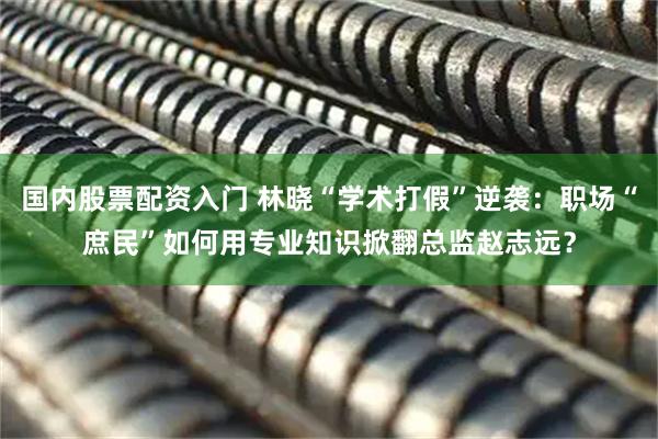 国内股票配资入门 林晓“学术打假”逆袭：职场“庶民”如何用专业知识掀翻总监赵志远？