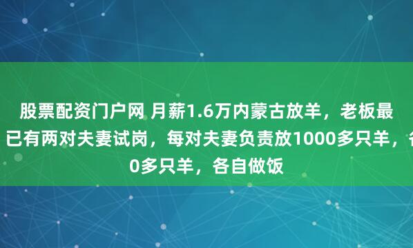 股票配资门户网 月薪1.6万内蒙古放羊，老板最新回应：已有两对夫妻试岗，每对夫妻负责放1000多只羊，各自做饭